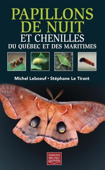 Papillons de nuit et chenilles du Québec et des Maritimes - STÉPHANE LE TIRANT - MICHEL LEBOEUF