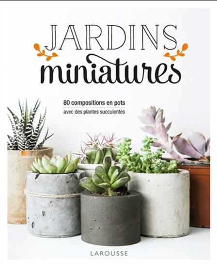 Jardins miniatures : 80 compositions en pots avec des plantes succulentes - MISA MATSUYAMA