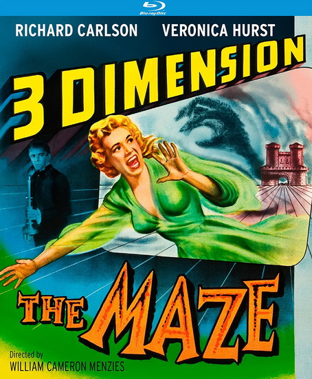 The Maze (3D) - MENZIES CAMERON WILLIAM