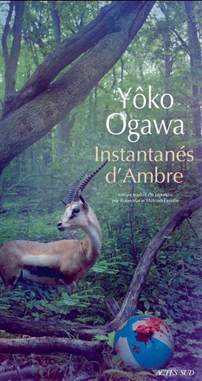 Instantanés d&#39;Ambre - YÔKO OGAWA