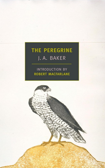 The Peregrine - J A BAKER