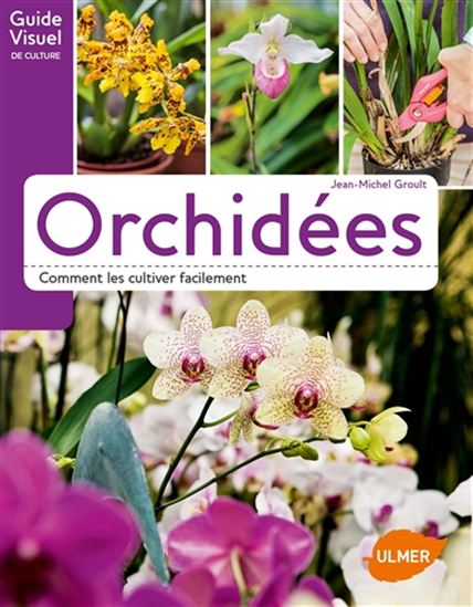 Orchidées : comment les cultiver facilement - JEAN-MICHEL GROULT