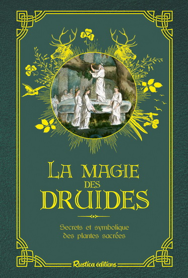 La Magie des druides - FLORENCE LAPORTE