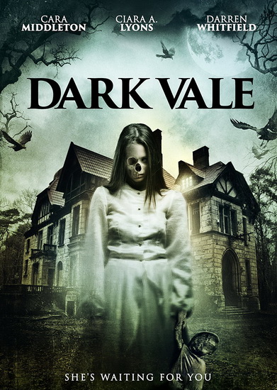 Dark Vale - JASON M.J. BROWN