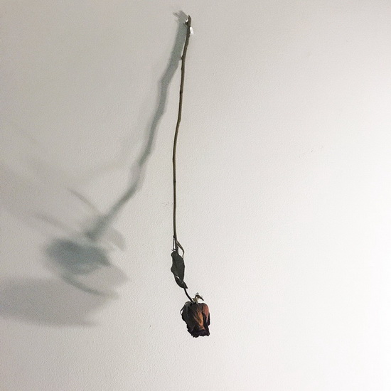 Dear God (Vinyl) - MMPH