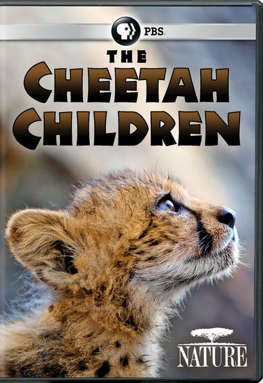 Nature : The Cheetah Children - NATURE