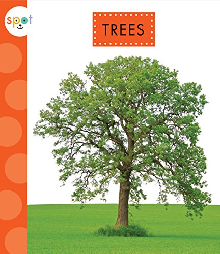 Trees - KC KELLEY