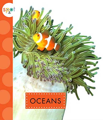 Oceans - KC KELLEY