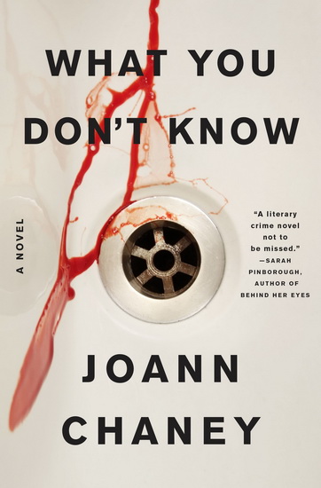 What You Don&#39;t Know - JOANN CHANEY