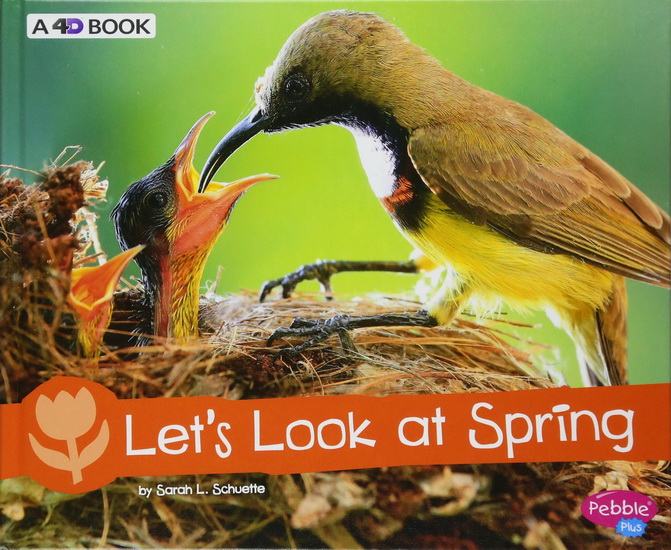 Let's Look at Spring - SARAH L SCHUETTE