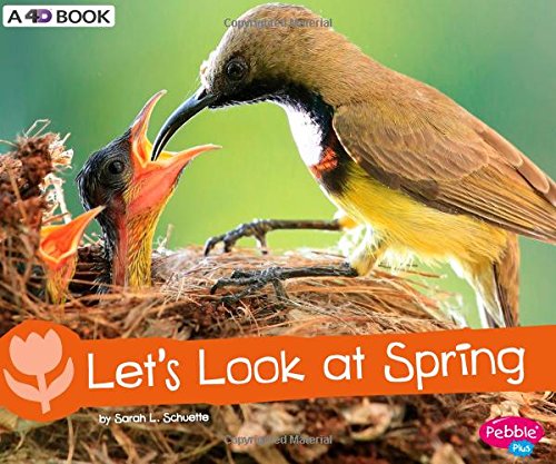 Let's Look at Spring - SARAH L SCHUETTE