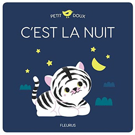 C'est la nuit - DIDIER ZANON