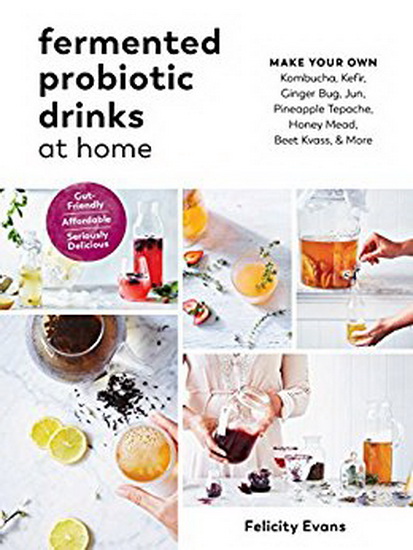 Art of Fermented Probiotic Drinks - FELICITY EVANS