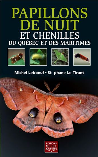 Papillons de nuit et chenilles du Québec et des Maritimes - STÉPHANE LE TIRANT - MICHEL LEBOEUF