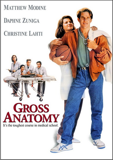 Gross Anatomy - THOM EBERHARDT