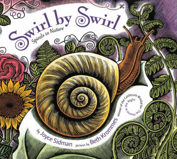 Swirl by Swirl (board book) - JOYCE SIDMAN - BETH KROMMES