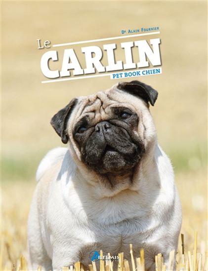 Le Carlin N. éd. - ALAIN FOURNIER