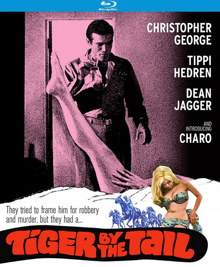 Tiger By The Tail (Blu-Ray) - SPRINGSTEEN R.G.