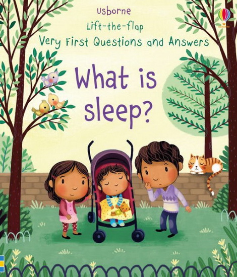 Very First Lift The Flap Questions And Answers What Is Sleep - KATIE DAYNES