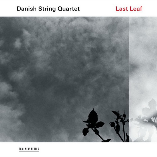 Last Leaf (Vinyl) - COMPILATION CLASSIQUE