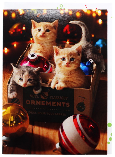 Que ce Temps des Fêtes soit des plus "chat-leureux"!