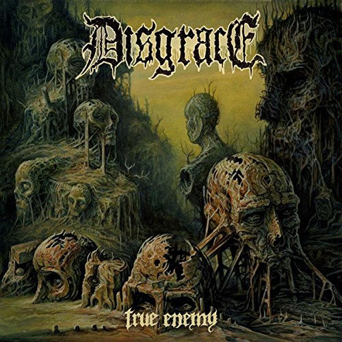 True Enemy - DISGRACE