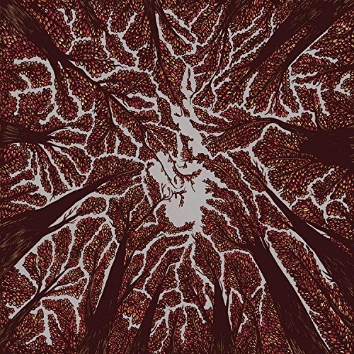 Crown Shyness - TRASH BOAT