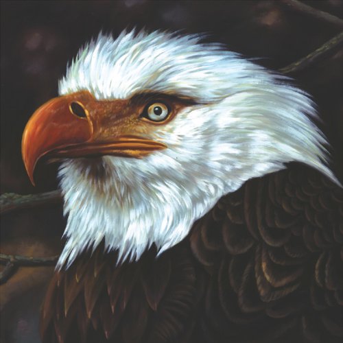 The Hawk Is Howling - MOGWAI