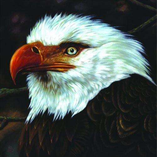 The Hawk Is Howling (2Vinyl) - MOGWAI