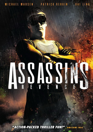 Assassin'S Revenge - RICHARD DRISCOLL