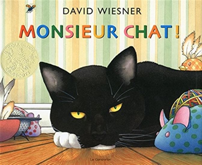 Monsieur Chat ! N. éd. - DAVID WIESNER