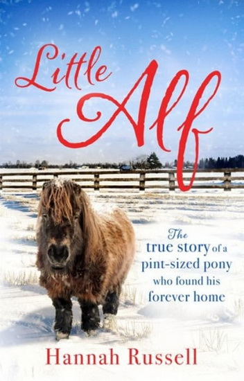 Little Alf : The True Story Of A Pint - Sized Pony Who Found His Forever Home - RUSSELL HANNAH