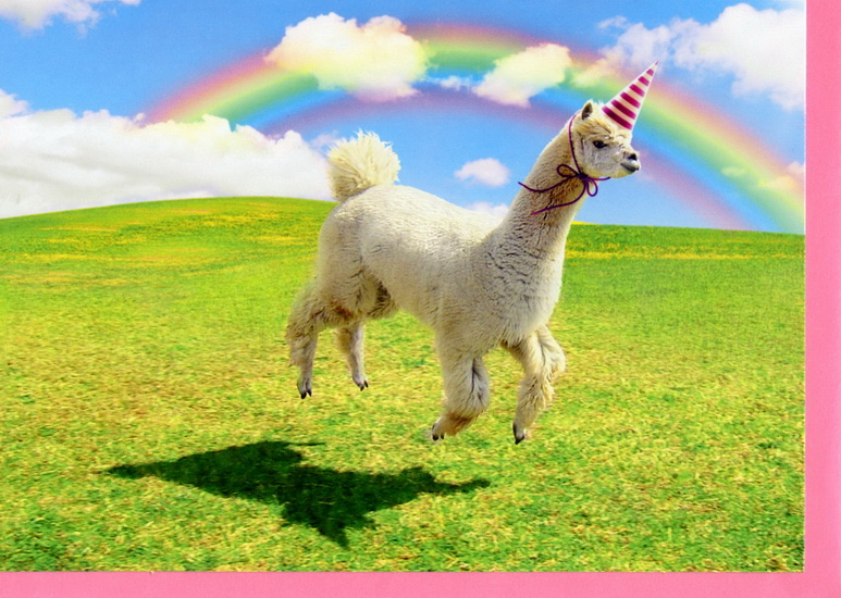 Que cette journée d'anniversaire soit remplie d'arcs-en-ciel…