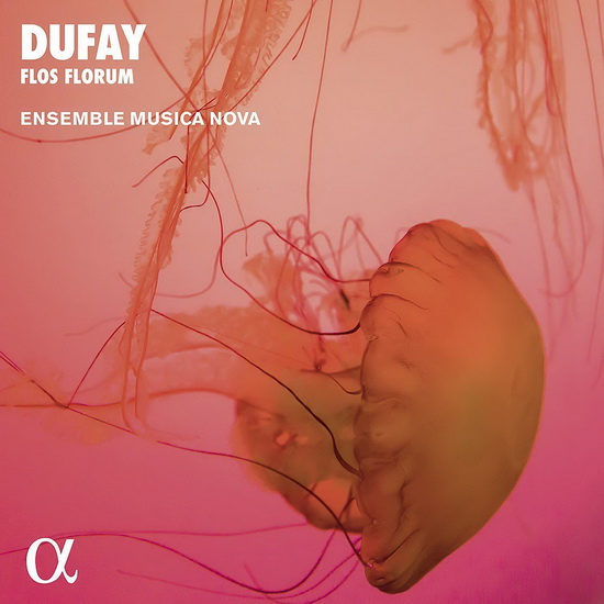 Dufay: Flos Florum - DUFAY