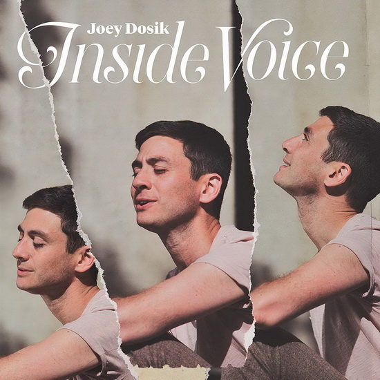 Inside Voice (Vinyl) - JOEY DOSIK