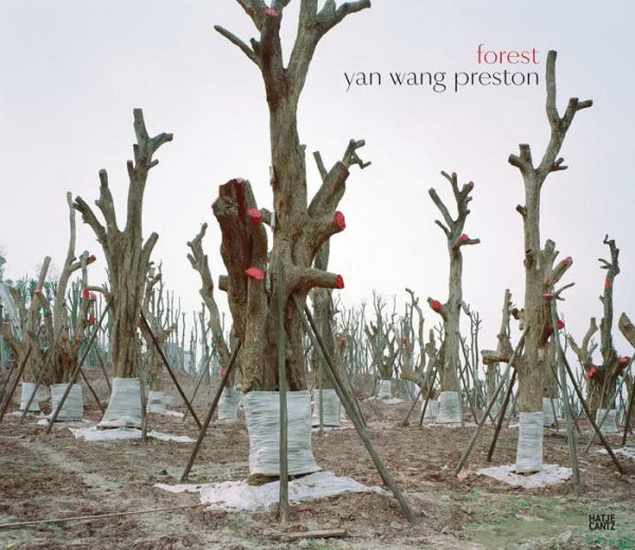 Yan Wang Preston: Forest - YAN PRESTON