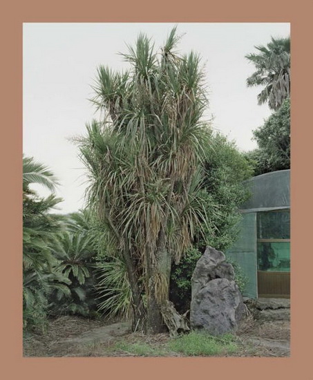 Oksun Kim: Jeju Island - OKSUN KIM