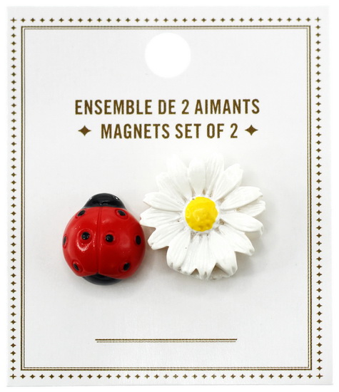 Ens. 2 petits aimants coccinelle et fleur