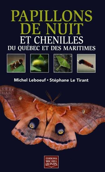 Papillons de nuit et chenilles du Québec et des Maritimes - MICHEL LEBOEUF - STÉPHANE LE TIRANT