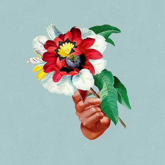 Kingdoms In Colour (Vinyl) - MARIBOU STATE