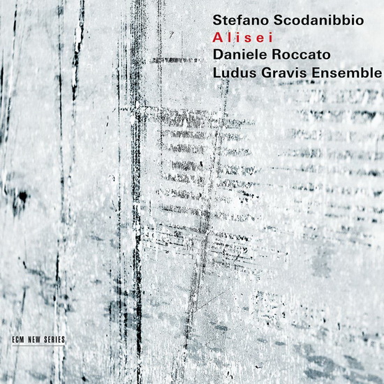 Alisei - SCODANIBBIO STEFANO