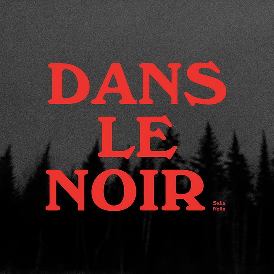 Dans le noir - SAFIA NOLIN