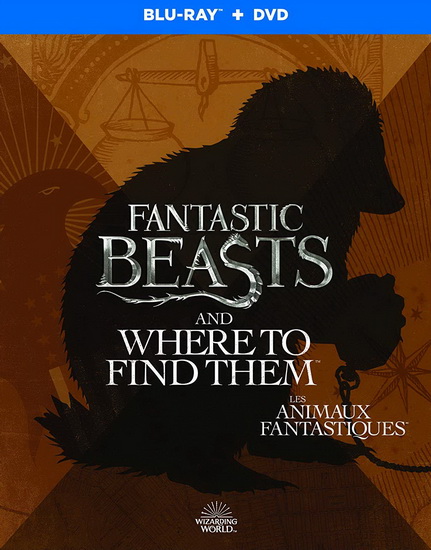 Fantastic Beasts and Where To Find Them (Les animaux fantastiques) (Blu-Ray)(MM) - DAVID YATES
