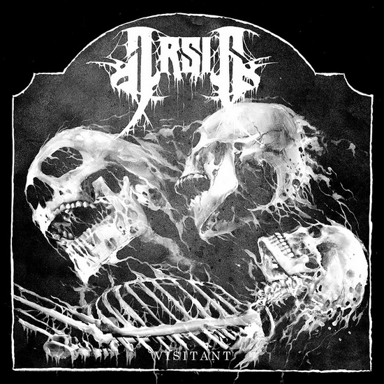 Visitant - ARSIS