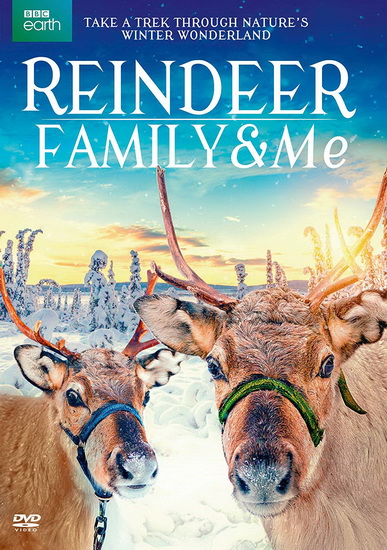 Reindeer Family & Me