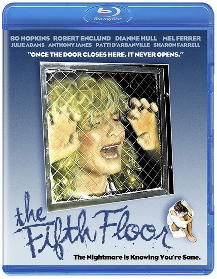 The Fifth Floor (Blu-Ray) - HOWARD AVEDIS