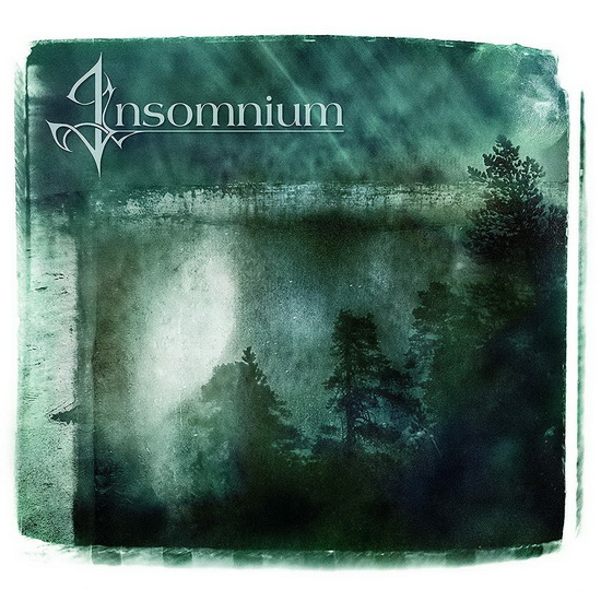 Since The Day It All Came Down (2Vinyl) - INSOMNIUM