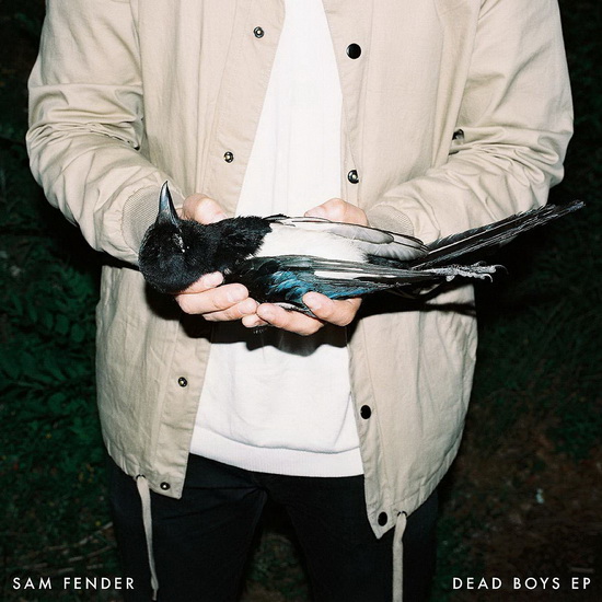 Dead Boys (Vinyl) - SAM FENDER