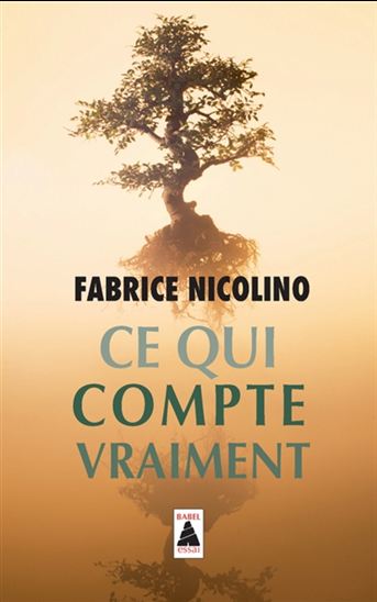Ce qui compte vraiment - FABRICE NICOLINO