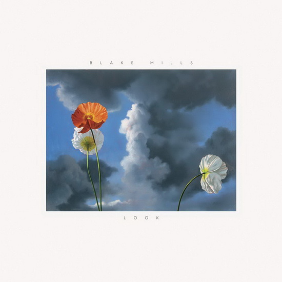 Look (Vinyl) - BLAKE MILLS